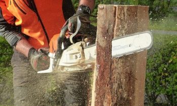 Quels outils utiliser pour couper du bois en toute sécurité ?